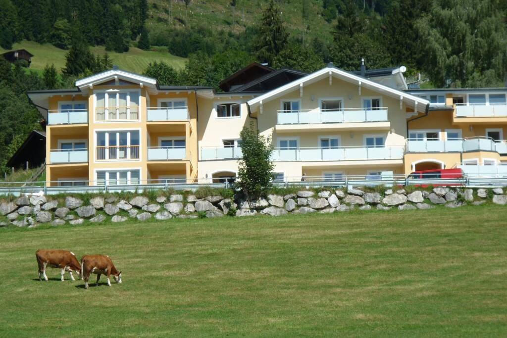 Apartment Hohe Tauern Piesendorf Exteriör bild