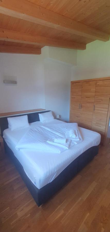 Apartment Hohe Tauern Piesendorf Exteriör bild